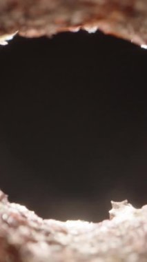 Dikey video. Düzensiz bir delikten aniden bir erkek göz belirir, Makro yakın çekim ile şüpheli bir gözetleme konsepti yaratır.