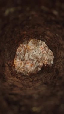 Dikey video. Boş bir suşi rulosunun içindeki ilk kişi görüntüsü, Desenli, çıtır çıtır bir yüzeyi ve sonunda bulanık bir dairesel açılımı olan Hollow Nori tüpünü gösteriyor.