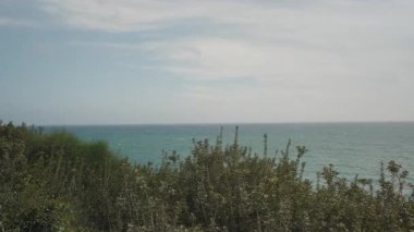 Rüzgarda Esen Çalılıklar Dalgalı Deniz 'e tepeden bakan kısmen bulutlu bir gökyüzü altında Göz Seviyesinden Çekilen Rüzgarlı Hava Konsepti