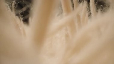 Karanlığa Karşı Yumuşak Krem Renkli İplikler Arkasında İlerleyen Kamerayla Makro Çekim, Yumuşak Soyut Dokunsal Etki Yaratma Doku Keşfi ve Duyusal Detay Detayları