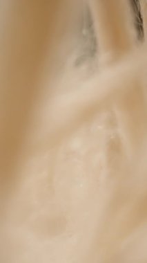 Dikey video. Karanlığa Karşı Yumuşak Krem Renkli İplikler Arkasında İlerleyen Kamerayla Makro Çekim, Yumuşak Soyut Dokunsal Etki Yaratma Doku Keşfi ve Duyusal Detay Detayları