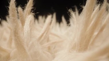 Makro Kaydırıcı Çekim Yoğun Krem Renkli İplikleri Andıran İplikler ya da Yumuşak Malzemelerin Doku ve Derinlik Araştırması Vurgusu Altındaki Yumuşak Kumaş Kumaşı