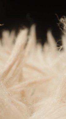 Dikey video. Makro Kaydırıcı Çekim Yoğun Krem Renkli İplikleri Andıran İplikler ya da Yumuşak Malzemelerin Doku ve Derinlik Araştırması Vurgusu Altındaki Yumuşak Kumaş Kumaşı