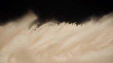 Makro Kaydırıcı Yumuşak Krem Fiberler Arasında Hareket Ederken Sığ Odaklanma ve Yumuşak Akış Koyu Bir Konsept Kumaş Hareketi ve Doğal Hareket Üzerinde