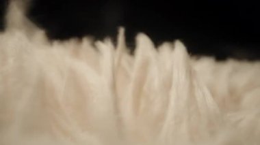 Yumuşak Derinlik ve Yumuşak Akış ile Rüzgarda Sallanan Yumuşak Renkli Yumuşak Fiberlerin Makro Çekimi Hafif Hareket ve Dokunsal Minimalizm 'in Karanlık Minimum Arkaplan Kavramına Karşı