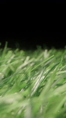 Dikey video. Yapay Yeşil Çimenlerin Yoğun Bıçakları ve Derin Sığ ve Yumuşak İlerleme Hareketiyle Karanlık Arkaplan Konsepti Sentetik Doğa ve Yüzey Detaylarına Karşı Macro Kaydırma Çekimi