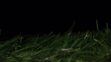 Yapay Yeşil Çimenler Arasında Ayakkabı Etkileşimi ve Yüzey Tepkisi Temas ve Bıçak Hareketine Odaklanarak Yavaş Hareketin Yavaş Hareketi