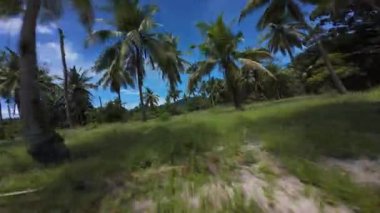 FPV İnsansız Hava Aracı Yoğun Palmiye Ağaçları Arasında Hızlı Uçuyor Hareket Bulanıklığı ve Düşük Açı Görünümünde Parlak Gökyüzü Ekstrem Keşif Konsepti İçin