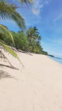 Dikey video. FPV İnsansız Hava Aracı, Sandy Tropikal Plajı 'nda, Arkaplanda Okyanus ve Ada Keşfi Açısında Açık Mavi Gökyüzü' nde Uçuyor.