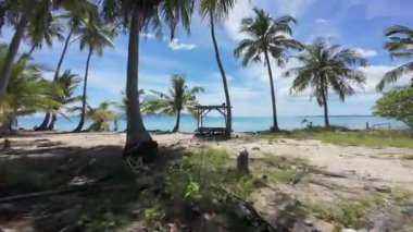 FPV İnsansız Hava Aracı Terk Edilmiş Tahta Yapı 'da Uçuyor ve Özgürlük ve Keşif Çerçevesinde Palmiye ağaçlarıyla Okyanusa ve Gökyüzüne Yükseliyor