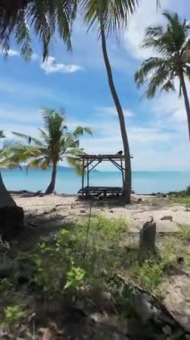 Dikey video. FPV İnsansız Hava Aracı Terk Edilmiş Tahta Yapı 'da Uçuyor ve Özgürlük ve Keşif Çerçevesinde Palmiye ağaçlarıyla Okyanusa ve Gökyüzüne Yükseliyor