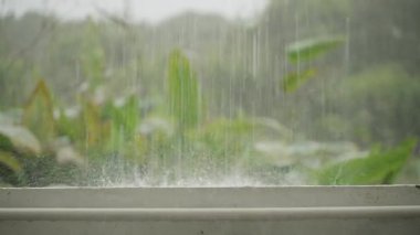 Yağmur Damlacıkları Arka planda Orman Sebzesi ile Kıyıya Vuruyor Keskin Orta Çekimde Çekim Hareketi ve Dokusunu Vurguluyor