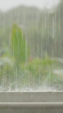 Dikey video. Yağmur Damlacıkları Arka planda Orman Sebzesi ile Kıyıya Vuruyor Keskin Orta Çekimde Çekim Hareketi ve Dokusunu Vurguluyor