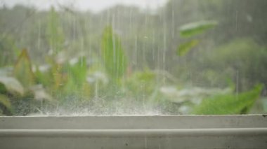 Şiddetli Yağmura Yakınlaşan Balkon Korkuluğu Arkaplandaki Yoğun Tropikal Bitkiler ve Ağaçlar Gündüz Yağışında Göz Seviyesinden Yakalandı, Zoom Etkisi Etkisi