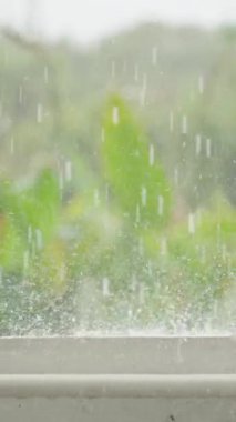 Dikey video. Ağır Yağışlı Yağmurun Yavaş Çekimi Arka planda Tropikal Yeşilliklerle Beton Tırabzana Sıçrayan Göz Seviyesi Düşürme Hareketini Vurguluyor