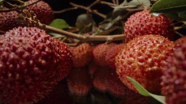 Dolly Kaydırıcı Görünüşte Yansıtıcı Yüzey ve Ayrıntılı Cilt Dokusuna sahip Dallardan sarkan Lychees Kümesine Odaklanıyor