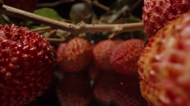 Yeşil Yapraklı Yansıtıcı Yüzeye Parlak Kırmızı Lychees ve Yumuşak Işık Altında Woody Stems 'in Dolly Kaydırma Çekimi