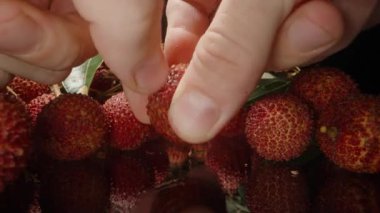 Yansıtıcı Yüzeyde Yansıtıcı Tüm Meyvelerin Yakından Yakından Yakından Yakından Yakından Yakından Çekilmiş Lychee 'yi Elle İnceleyerek Parlak Beyaz Et