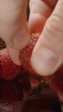 Yansıtıcı Yüzeyde Yansıtıcı Tüm Meyvelerin Yakından Yakından Yakından Yakından Yakından Yakından Çekilmiş Lychee 'yi Elle İnceleyerek Parlak Beyaz Et