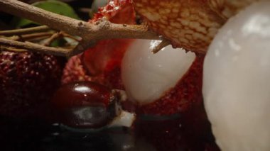 Yumuşak Işık Altında Yansıtıcı Yüzeye Yansıtıcı Meyveler Dağılmış Dolly Kaydırıcı Elle Kapalı Lychee Tohumu Kabukları ve Tüm Meyvelerle Dağıtılıyor