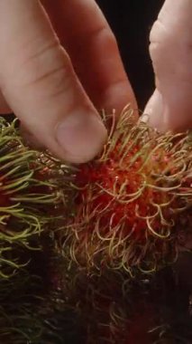 Dikenli Rambutan Meyvesi İçi Pürüzsüz Beyaz Et İçin Açılıyor Parlak Yüzeyin Yansıması Yakından Yakından Yakından Çekildi