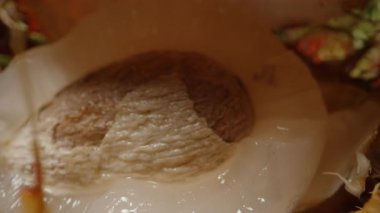 Dolly Kaydırıcı Stüdyo Işığının Altında Sulu Beyaz Etlerin İçindeki Kahverengi Tohumu Ortaya Çıkaran Açık Meyveler Üzerine Odaklanarak Rambutan Meyveleri Arşınlıyor