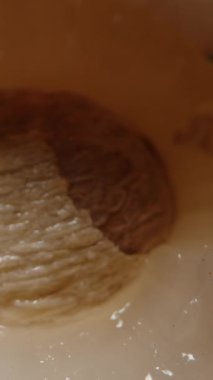 Dolly Kaydırıcı Stüdyo Işığının Altında Sulu Beyaz Etlerin İçindeki Kahverengi Tohumu Ortaya Çıkaran Açık Meyveler Üzerine Odaklanarak Rambutan Meyveleri Arşınlıyor