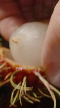 Stüdyo Işığının Altında Yansıtıcı Yüzeyde Boş Meyve Kabuklarıyla Yedikten sonra Tohum Tohumu 'nu Tutarken Dolly Kaydırma Kapağı Stüdyo Işığı Altında