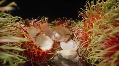 Dolly Kaydırıcı Kapalı Çekim Açık Rambutan Kabukları ve Stüdyo Işıklandırması Altında Yansıtıcı Yüzey Üzerine Sulu Beyaz Et