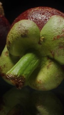 Dolly Kaydırıcı Tüm Mangosteen Meyvelerinin İçinden Yeşil Başlıklar ve Stüdyo Kurulumundaki Yansıtıcı Yüzeyde Kırmızı Mor Derilerle Yakın Çekim