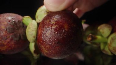 El Arkaplanda Diğer Tropikal Meyvelerle Yansıtıcı Yüzeyden Tüm Mangosteen Meyvelerini Topluyor Stüdyo Işığında Yaklaştık