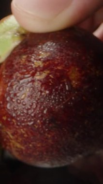 El Arkaplanda Diğer Tropikal Meyvelerle Yansıtıcı Yüzeyden Tüm Mangosteen Meyvelerini Topluyor Stüdyo Işığında Yaklaştık