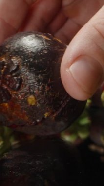 Mangosteen 'i İçindeki Meyve Kabuğu ve Stüdyo Işığı Altındaki Yansıtıcı Yüzey Kökü ile Açığa Çıkarıyorum