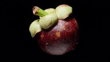 Pürüzsüz Aydınlatma ve Yumuşak Gölgeler, İzolasyonda Tropikal Meyve, Egzotik Üretim Konsepti ile Kara Arkaplan Karşısında Kusursuzca Dönen Mangosteen