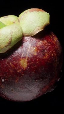 Pürüzsüz Aydınlatma ve Yumuşak Gölgeler, İzolasyonda Tropikal Meyve, Egzotik Üretim Konsepti ile Kara Arkaplan Karşısında Kusursuzca Dönen Mangosteen