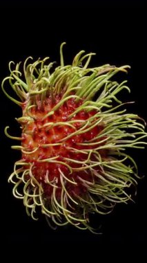 Rambutan Yarı Dönüşümlü Saf Et ve Görünür İç Tohum Siyah Arkaplanda, Ham Doğal Yapı, Egzotik Üretim Konseptinin Vurgulanması