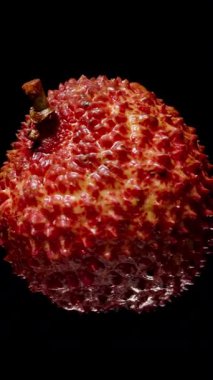 Tüm Lychee, pürüzsüz kırmızı deri ve izole edilmiş siyah arka plana karşı küçük kökle, egzotik dokuya, tropikal meyve kavramına karşı döngü içinde döner.