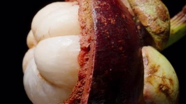 Mangosteen 'in Macro Çekimi Beyaz Dolgun Parçalara Odaklanma ve Siyah Arkaplana Karşı Derin Kırmızı İç Kabuk, Egzotik Meyve Konseptinin Detayları