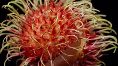 Kırmızı Dikenli Kabuk Altında Kırmızı Dikenli Beyaz Etler Altında Egzotik Meyve Etkileşimi Konseptine Karşı El Kabuğu Yakından Soyma Rambutan