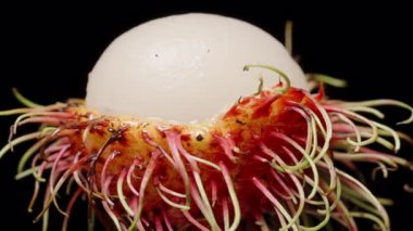 Sulu Rambutan Etleri Tamamen Açığa Çıktı ve Parlak Kızıl Kıllı Deniz Kabuğundan Siyah Arka plan Makro Yakın plan, Taze Egzotik Atıştırmalık Konsepti