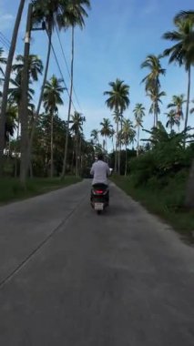 Dikey video. Scooter Uzaktaki Adam Dar Beton Yolunda Etrafı Uzun Palmiye Ağaçlarıyla çevrili Mavi Gökyüzü İHA Arka Görünümü, Ada Özgürlük Konsepti