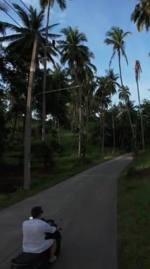 Dikey video. Yoğun Palm Ormanı 'nda Scooter kullanan adam İHA, Düşük Işıkta Arka Açı, Tropikal Keşif Konsepti