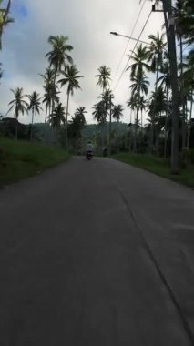 Dikey video. İnsansız hava aracı hızla yaklaşıyor ve Scooter 'daki adamı geçiyor. Tropikal yolda palmiye ağaçları, Arka Hava Hareketi Atışı, Yüksek Hız Kavramını Geçiyor.