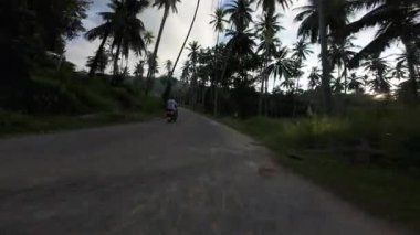 İHA, Palm Tree Yolu 'nda Scooter süren ve İleri, Arka Tarafın Havadan Hareketli Atışı, Yüksek Hızda Kaçış Konsepti' nde Hızla Uçuyor.