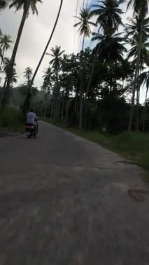 Dikey video. İHA, Palm Tree Yolu 'nda Scooter süren ve İleri, Arka Tarafın Havadan Hareketli Atışı, Yüksek Hızda Kaçış Konsepti' nde Hızla Uçuyor.