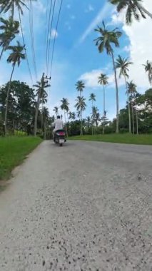 Dikey video. Virajlı Tropikal Yol 'da Scooter Uzağında Sürücü, Lush Vegetation, Düşük Açı İzleme Çekimi Yer Seviyesinden, Olay Yeri İnceleme Konsepti