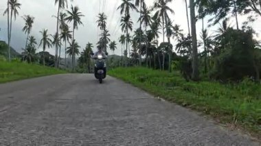 Orman Yolu boyunca Scooter kullanan adam Palmiye ağaçlarıyla kaplı, Önünde hafif bir viraj var, İHA vuruldu, Ada Taşımacılığı