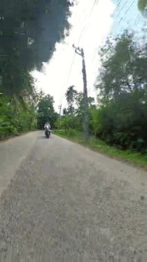 Dikey video. Orman Yolu boyunca Scooter kullanan adam Palmiye ağaçlarıyla kaplı, Önünde hafif bir viraj var, İHA vuruldu, Ada Taşımacılığı