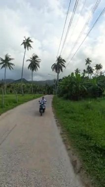 Dikey video. Palm Trees ve Bulutlu Dağlar Arkaplanda Dönen Kırsal Yol boyunca Scooter süren Adam, Orta Yol, Tropikal Seyahat Yolu