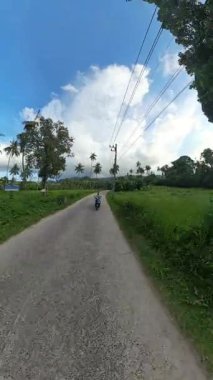 Dikey video. Motosikletli adam, palmiye ağaçları ve bulutlu gökyüzünün altındaki tarım arazisiyle yemyeşil yol kenarından geçiyor.